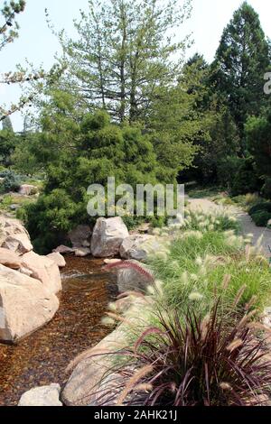 Una leggera corrente che scorre su un letto di roccia, fiancheggiata da massi, Fontana di erba, arbusti e alberi sempreverdi, accanto a un percorso a piedi in Colorado, STATI UNITI D'AMERICA Foto Stock