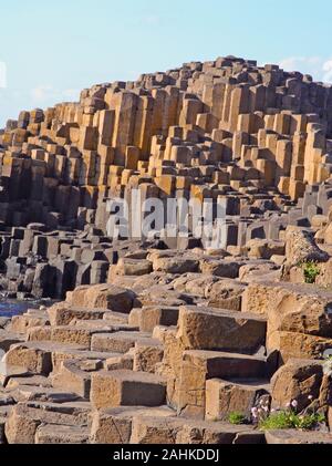 Massicce colonne di basalto del Giant's Causeway, County Antrim, Irlanda del Nord, Regno Unito. Foto Stock