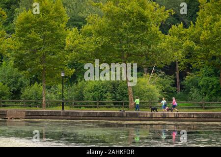 Forest Park Gardens a Springfield, Massachusetts Foto Stock