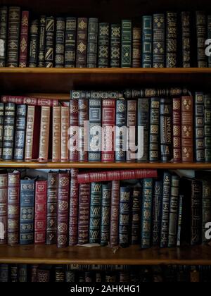 Vecchio multicolore rilegati in pelle i libri sugli scaffali Foto Stock