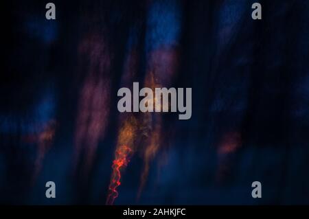 Abstract degli incendi di foreste di notte lo sfondo scuro Foto Stock