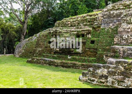 Lamanai riserva archeologica rovine maya Jaguar Tempio giungla del Belize Foto Stock