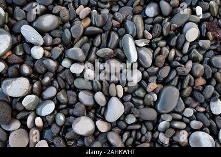 Una selezione di umido e secco round sassi, ciottoli sulla spiaggia. Foto Stock