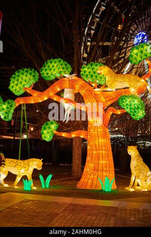 Atlanta Lanterna cinese Festival 2019 Foto Stock