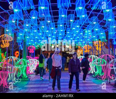 Atlanta Lanterna cinese Festival 2019 Foto Stock