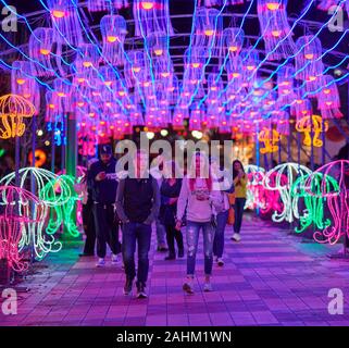 Atlanta Lanterna cinese Festival 2019 Foto Stock