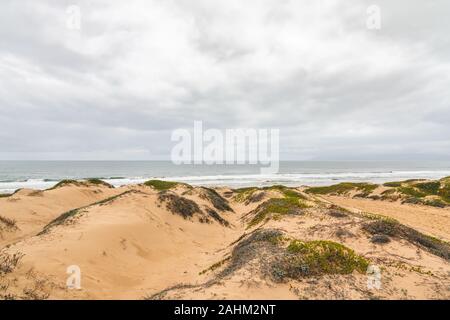 Oceano dune di sabbia Recreation Area, California Foto Stock