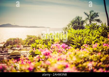 Bellissimo paesaggio del mare, fiori e palme su un estate giornata di sole. Foto Stock