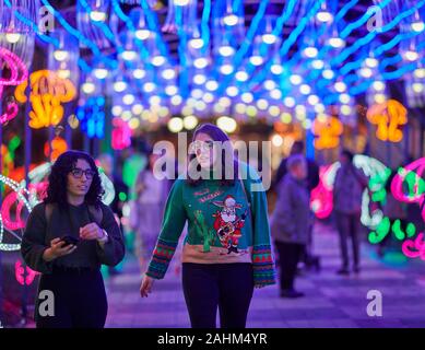 Atlanta Lanterna cinese Festival 2019 Foto Stock