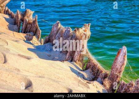 spiaggia di sabbia con porto in legno abbandonato Foto Stock