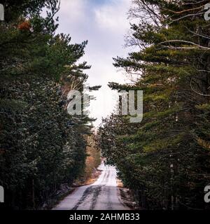 Una stretta strada rurale, coperto in inverno la neve, corre tra alti pini e altri alberi in un misto di superficie boschiva. Foto Stock