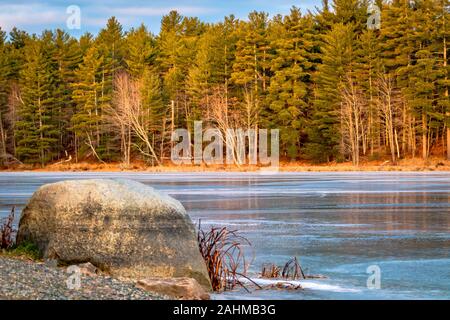 Alberi sempreverdi e altri alberi di una foresta mista sono dorate nella luce del mattino sul fino a riva di un lago ghiacciato. Una grande roccia e la spiaggia rocciosa sono in th Foto Stock