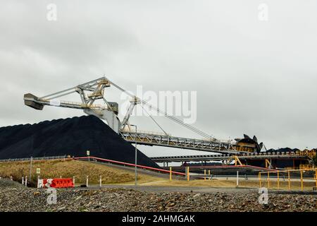 Caricatori di carbone pila pile del carbone pronto per l'esportazione a Newcastle Australia Foto Stock