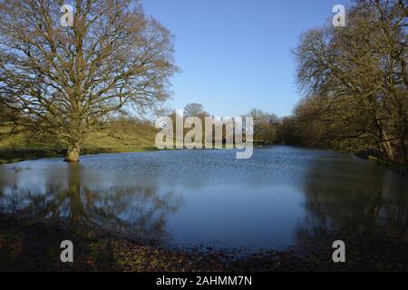 Un inverno scena illuminata in un parco che circonda il Castello di Broughton nel nord Oxfordshire villaggio dello stesso nome. Foto Stock