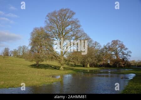 Un inverno scena illuminata in un parco che circonda il Castello di Broughton nel nord Oxfordshire villaggio dello stesso nome. Foto Stock