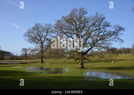 Un inverno scena illuminata in un parco che circonda il Castello di Broughton nel nord Oxfordshire villaggio dello stesso nome. Foto Stock