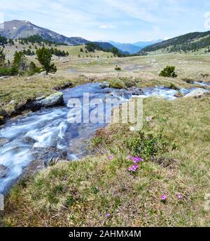 Il flusso del fiume Perafita fluisce dalla parte superiore di Madriu-Perafita-Claror Valley nei Pirenei di Andorra. Ulteiore nel prato che raccoglie altri water st Foto Stock