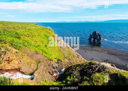 Vista in basalto Hvitserkur pila lavato con acque di Baia Hindisvik nel nord-ovest dell'Islanda. C'è la costa del Oceano Artico a riva orientale del Foto Stock