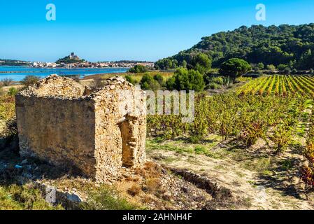 Area a vigneto nella regione di Narbonne, la capanna in rovina è al primo piano e Gruissan città e laguna sono a sinistra sullo sfondo. Occitanie, Francia. Foto Stock