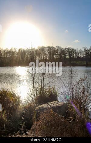 Il sole illumina gli alberi e brilla sul lago a Gut Panker vicino a Kiel, Germania Foto Stock