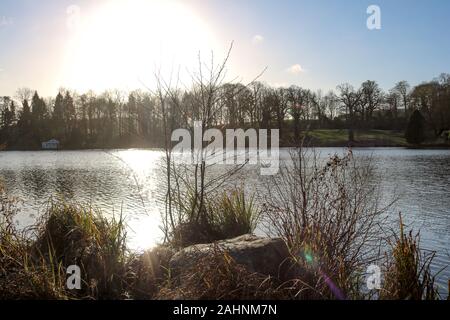 Il sole illumina gli alberi e brilla sul lago a Gut Panker vicino a Kiel, Germania Foto Stock