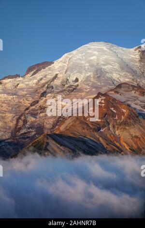 Mount Rainier e riempito di nebbia valle presso sunrise, Sunrise, il Parco Nazionale del Monte Rainier, Pierce County, Washington, Stati Uniti d'America Foto Stock