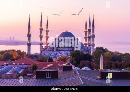 Splendida Sultan Ahmet moschea o la Moschea Blu nel sole del mattino di Istanbul, Turchia Foto Stock