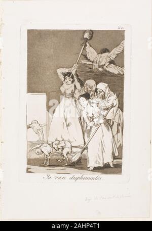 Francisco José de Goya y Lucientes. Ci vanno presentate spennate (cioè fleeced), piastra 20 da Los Caprichos. 1797-1799. Spagna. Incisione e acquatinta su avorio di cui la carta a Los caprichos (significato capricci o capricci), una serie di incisioni di Francisco de Goya, l'artista ha presentato il suo velate critiche del tardo XVIII secolo la società spagnola. Qui ha rappresentato ne'er-do-well-sotto forma di spiumatura pollo-uomini-di essere truffati da prostitute. Sottolineando la destinato morale della il titolo dell'opera, Goya ha commentato del chickenmen "se esse sono già state presentate spennate, farli fuori ci saranno altri a venire lungo". H Foto Stock
