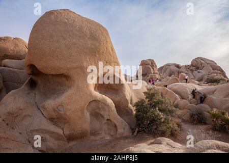 I turisti al cranio Rock, Joshua Tree National Park Foto Stock