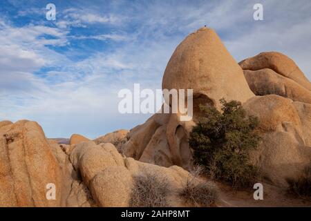 Cranio Rock, Joshua Tree National Park Foto Stock