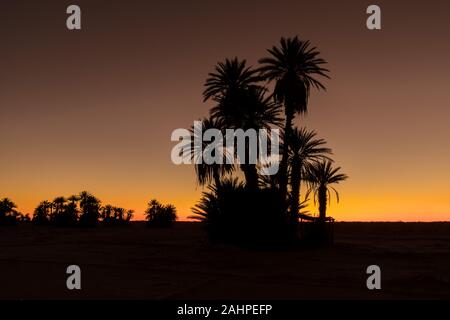 Silhouette palme sulla spiaggia al tramonto. Tono vintage. Paesaggio con palme, durante la stagione estiva per lo stato della California, Stati Uniti d'America bellissimo sfondo Foto Stock