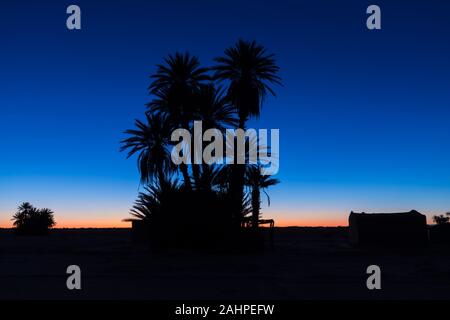 Silhouette palme sulla spiaggia al tramonto. Tono vintage. Paesaggio con palme, durante la stagione estiva per lo stato della California, Stati Uniti d'America bellissimo sfondo Foto Stock