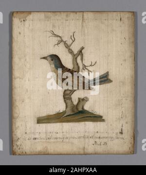 Immagine di un uccello. 1701-1800. La Francia. Seta, raso; ricamato in seta di raso e stelo maglie; couchinglinen, ad armatura a tela nastro di allacciatura lungo bordi; biancheria di allacciatura su pannello di legno; telaio in legno Foto Stock