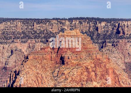 Una drammatica vista panoramica di un altopiano a Moran Point che mostra un Lone Pine Tree in cima alla sporgenza incorniciato da red Grand Canyon rock. Foto Stock