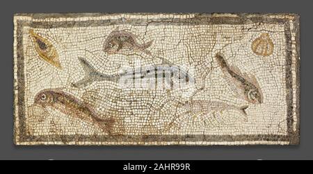 Antico romano. Pavimento a mosaico raffigurante la vita marina. 200 DC-230 annuncio. Ad Antiochia. Pietra e mortaio il pesce era un cibo di lusso tra i romani. Mosaici raffiguranti la vita marina sono stati diffusi soprattutto in ed intorno a Antiochia (vicino al moderno Antakya, Turchia), antica città situata sul fiume Oronte che era noto per la bellezza delle sue acque. Questo mosaico, che è stato scoperto in una casa in Daphne (moderno Harbiye), di una prospera città giardino nei pressi di Antiochia, illustra numerose specie di pesci e crostacei. La rappresentazione di queste creature del mare era probabilmente destinato a convogliare un messaggio circa il proprietario di wealt Foto Stock