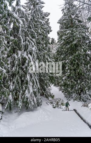 Issaquah, Washington, Stati Uniti d'America. Uomo maturo spalare la neve profonda nel suo passo carraio durante una nevicata. Foto Stock