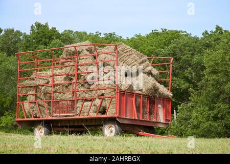 Carro carico di balle di fieno, in attesa di essere presi per il fienile in Galena, Illinois, Stati Uniti d'America Foto Stock