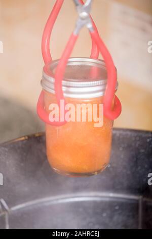 Sollevamento di un vasetto di marmellata di albicocche al di sotto del bordo usando tenaglie di inscatolamento, al di fuori di un'acqua bollente canner, in preparazione per lasciarli raffreddare senza toccare o Foto Stock