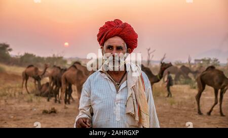 Pushkar, India - nov. 20, 2015. Un cammello di Rajasthani trader si trova di fronte la sua mandria di cammelli che è in vendita presso l'annuale del cammello di Pushkar Fair. Foto Stock