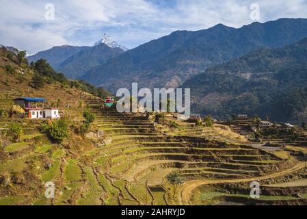 Scenario del Nepal vicino a Pokhara con picco di coda di pesce Foto Stock