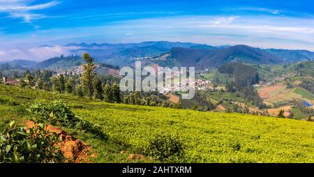 Vista panoramica della Piantagione di tè e Nilgiri Hills. sul modo Ootty Tamil Nadu India. Foto Stock
