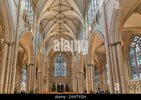 YORK CITY INGHILTERRA MINSTER interni la spettacolare navata e soffitto Foto Stock