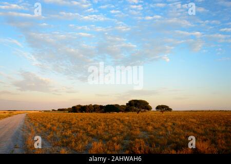 Sonnenaufgang, inganno Valley, il Central Kalahari Game Reserve, Botswana Foto Stock