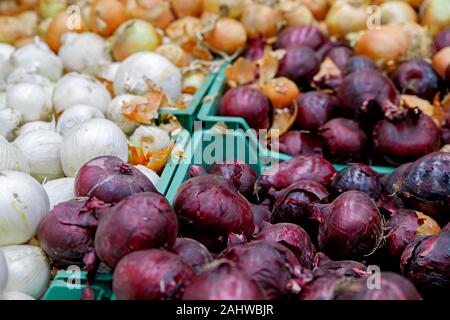 Verdure di stagione sono impilati in scatole presso il negozio di alimentari. Nelle vicinanze ci sono il giallo, bianco e le cipolle rosse. Prodotti naturali per la cottura di cibi sani. Foto Stock