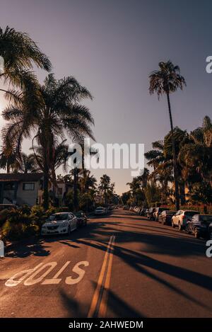 Palme sulla Chapala Street a Santa Barbara in California Foto Stock