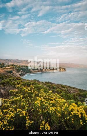 Vedute costiere a Point Dume, Malibu, California Foto Stock