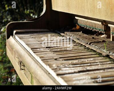 Primo piano sui dettagli del relitto di una vecchio pianoforte nel bel sole Foto Stock