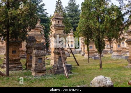 Dengfeng, Cina - 17 Ottobre 2018: Foresta Pagoda al Tempio Shaolin. Monastero Shaolin. Foto Stock