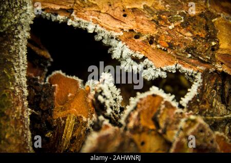 Cristallo di ghiaccio, polvere di diamanti, il gelo nebbia congelate su un pezzo di corteccia, scorza di un albero, macro Foto Stock