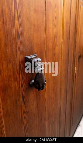 Porta marrone scuro con respingente Foto Stock